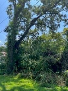 512 Seale Road S, Phenix City, Alabama 36867, États-Unis