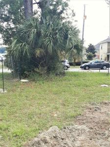 1205 N M St, Pensacola, Florida 32501