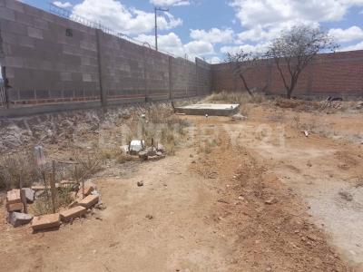 Damián Carmona ,, Mexquitic De Carmona, San Luis Potosi 78483, México