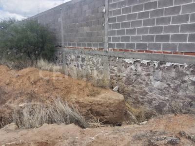 Damián Carmona ,, Mexquitic De Carmona, סן לואיס פוטוסי 78483, מקסיקו