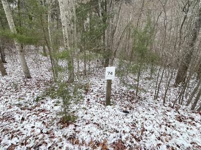 Lot 74 Sandstone Point, Monticello, קנטאקי 42633, ארצות הברית של אמריקה