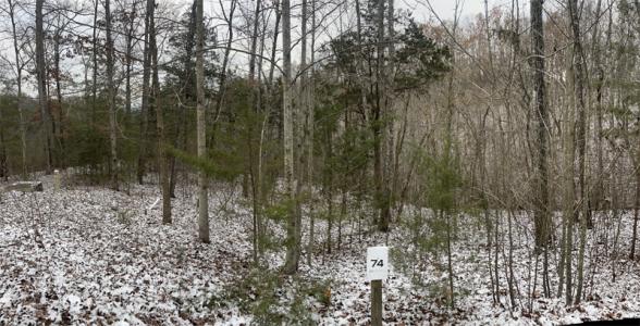 Lot 74 Sandstone Point, Monticello, קנטאקי 42633, ארצות הברית של אמריקה