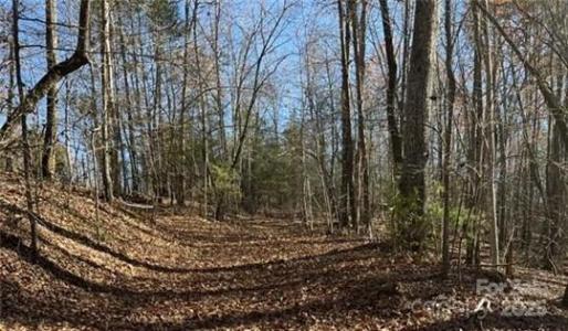 00 Twin Maple Way Unit #5, Mill Spring, North Carolina 28756