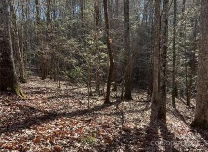 00 Twin Maple Way Unit #5, Mill Spring, North Carolina 28756