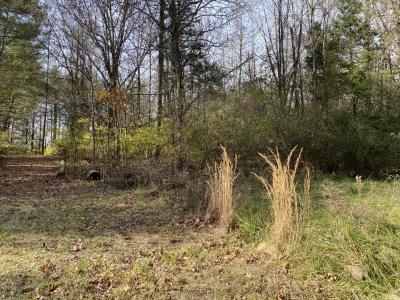 00 Wood Road, Murphysboro, Illinois 62966, USA