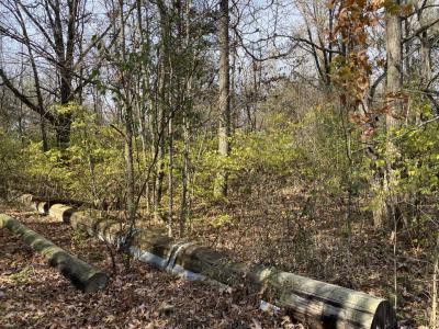 00 Wood Road, Murphysboro, Illinois 62966, USA