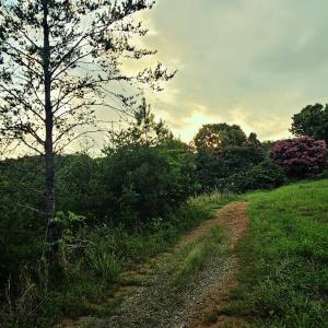 823 Silver Creek Road, Mill Spring, North Carolina 28756