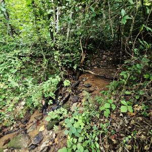 823 Silver Creek Road, Mill Spring, North Carolina 28756
