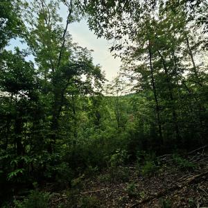 823 Silver Creek Road, Mill Spring, North Carolina 28756