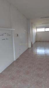 Trofa, Porto 4745-531, Portogallo