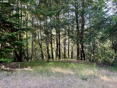 Lupine Way, Gold Beach, Oregon 97444