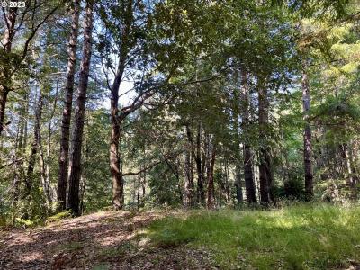 Lupine Way, Gold Beach, Oregon 97444