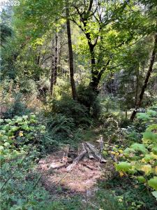 Lupine Way, Gold Beach, Oregon 97444