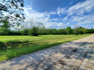 1 Weimer Drive, Saybrook, أوهايو 44004, الولايات المتحدة