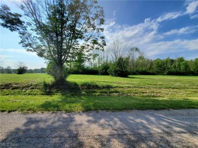1 Weimer Drive, Saybrook, أوهايو 44004, الولايات المتحدة