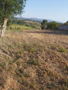 Batalha, Leiria 2480-059, Portugal