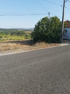 Batalha, Leiria 2480-059, Bồ Đào Nha