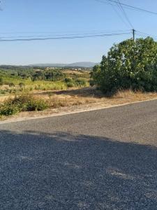 Batalha, Leiria 2480-059, Bồ Đào Nha
