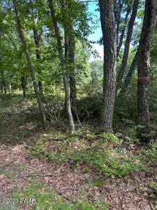 1638 Gwinnett Road, Milford, Pennsylvania 18337, HOA KỲ