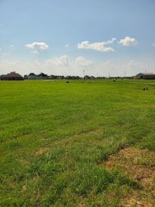 5867 N Crescent Dr, Iowa, Louisiana 70647, USA