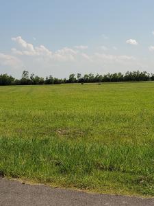 5867 N Crescent Dr, Iowa, Louisiane 70647, États-Unis