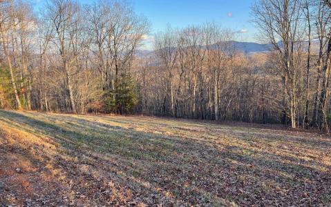 17+ac Matheson Cove Road, Hayesville, شمال كارولينا 28904, الولايات المتحدة