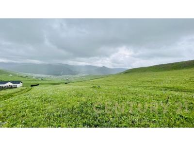 Сонгинохайрхан, Mongolia