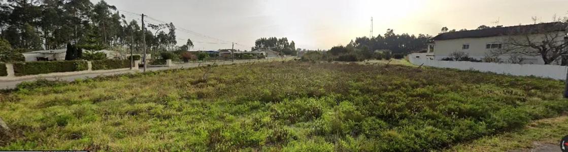 Vagos, Aveiro 3840-909, Portugal