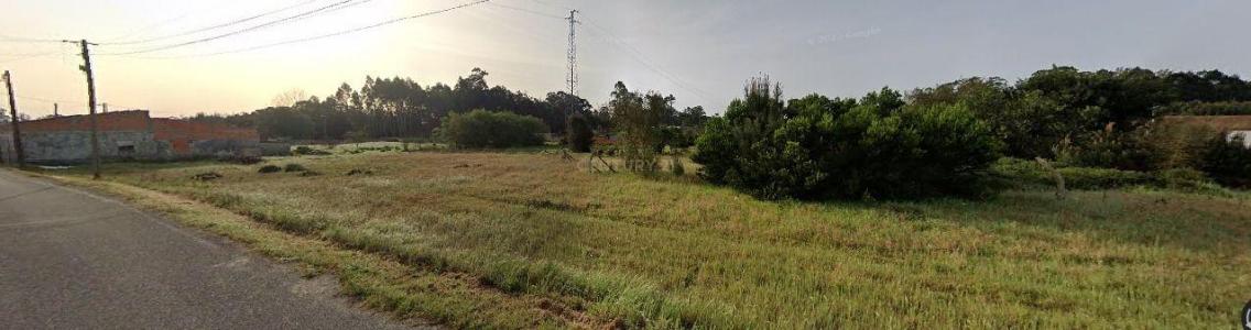 Vagos, Aveiro 3840-909, Portugal