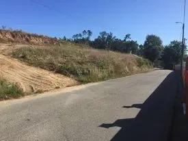 Anadia, Aveiro 3780-589, Portugal