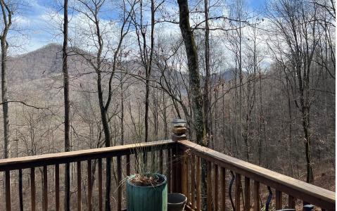 743 Anns Lane, Hayesville, Carolina Del Norte 28904, Estados Unidos