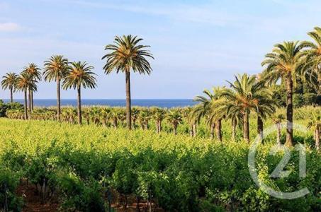 La Croix Valmer, Provence-Alpes-Côte D'Azur 83420, França