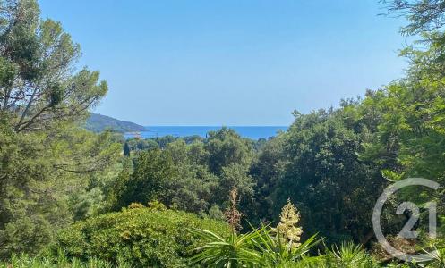 La Croix Valmer, Provence-Alpes-Côte D'Azur 83420, França