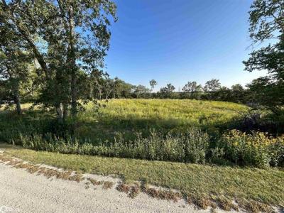Lot 4 Creek View Drive, Mount Pleasant, Iowa 52641, Stati Uniti