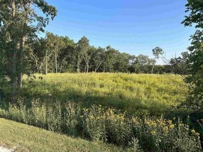 Lot 4 Creek View Drive, Mount Pleasant, Iowa 52641, Stati Uniti