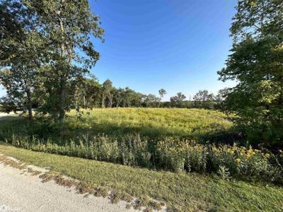 Lot 4 Creek View Drive, Mount Pleasant, Iowa 52641, Stati Uniti