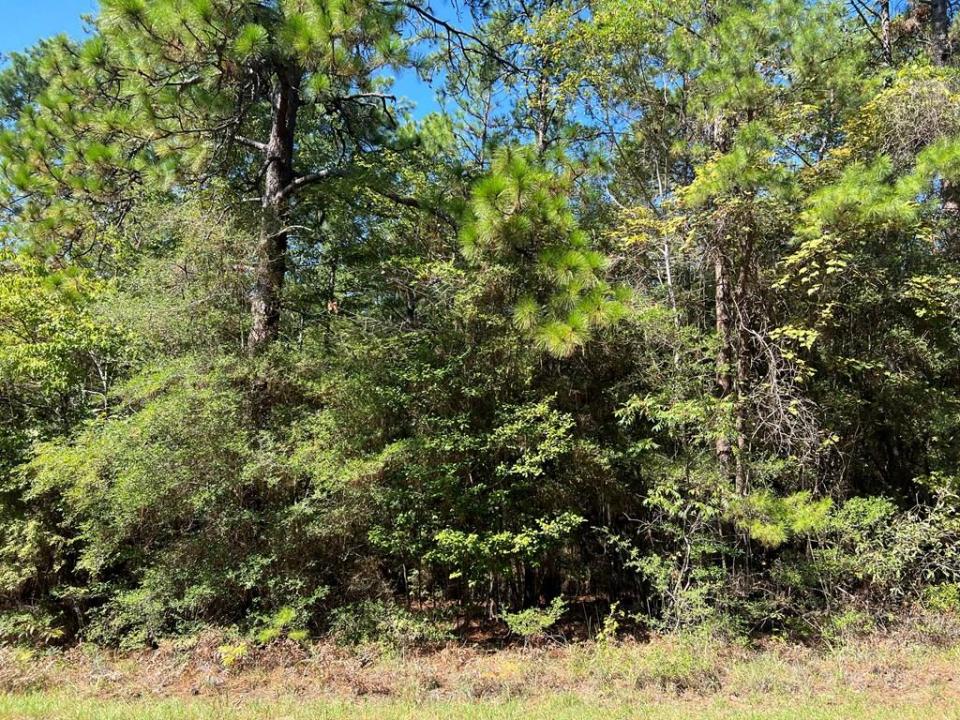 R32323 Vantage Drive, Brookeland, Texas 75931, USA