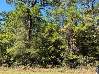 R32323 Vantage Drive, Brookeland, Texas 75931, USA