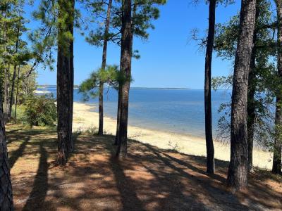 R32323 Vantage Drive, Brookeland, Texas 75931, USA