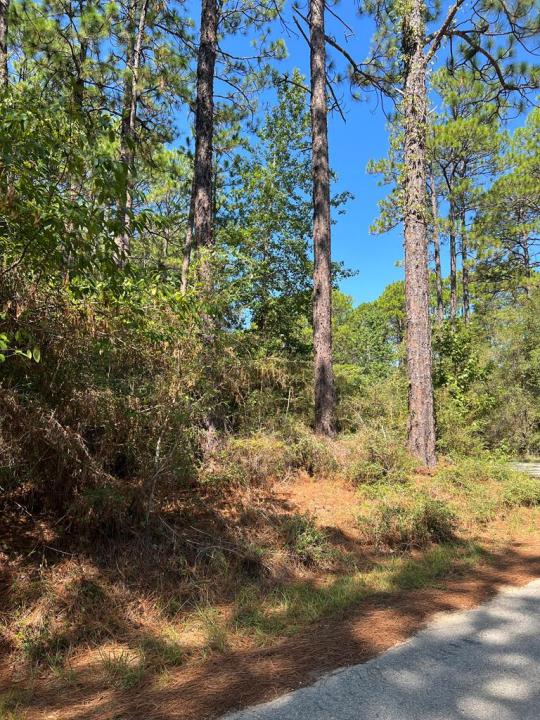 420 Sparkleberry Dr., Brookeland, Texas 75931, USA