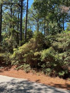 420 Sparkleberry Dr., Brookeland, Texas 75931, USA