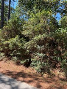 420 Sparkleberry Dr., Brookeland, Texas 75931, USA