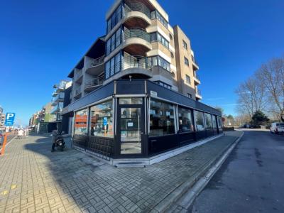 Strandlaan 242, Sint-idesbald, Belgio