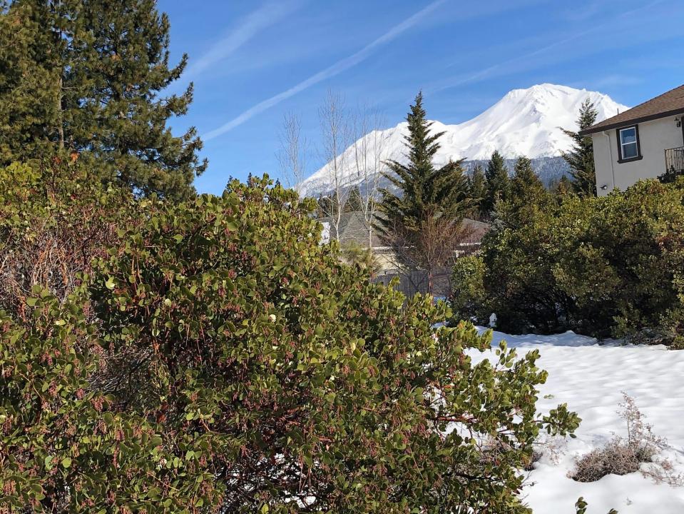 1162 Deas Way, Mount Shasta, California 96067