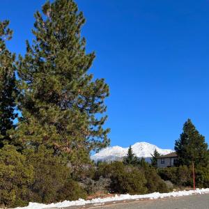 1162 Deas Way, Mount Shasta, California 96067