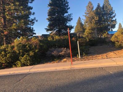 1162 Deas Way, Mount Shasta, California 96067