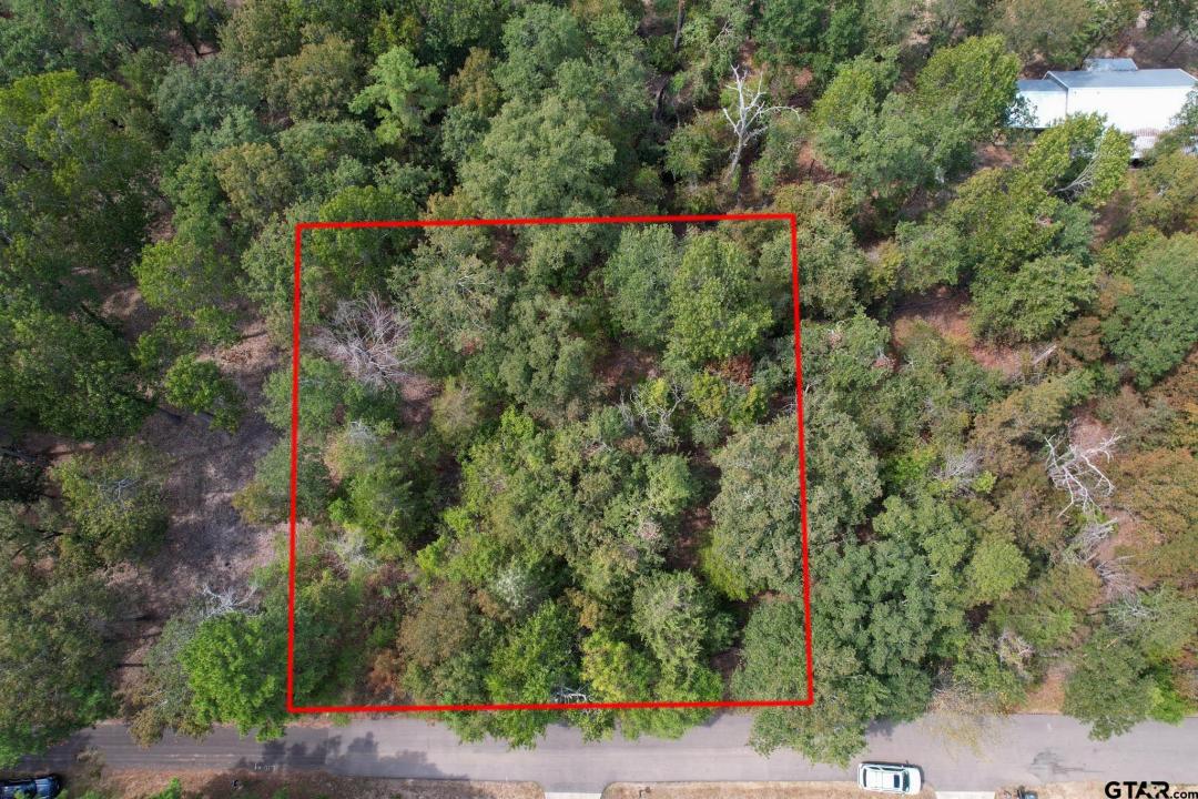 TBD W King Chester Ct., Scroggins, Texas 75480, Estados Unidos