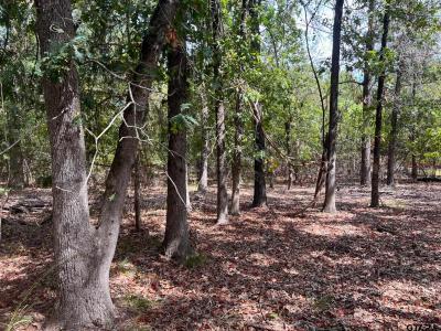 TBD W King Chester Ct., Scroggins, Texas 75480, Estados Unidos