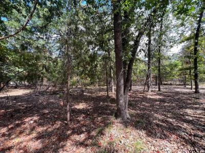 TBD W King Chester Ct., Scroggins, Texas 75480, Estados Unidos