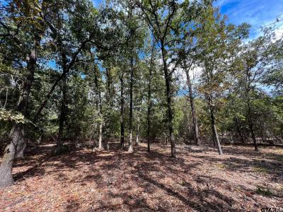 TBD W King Chester Ct., Scroggins, Texas 75480, Estados Unidos